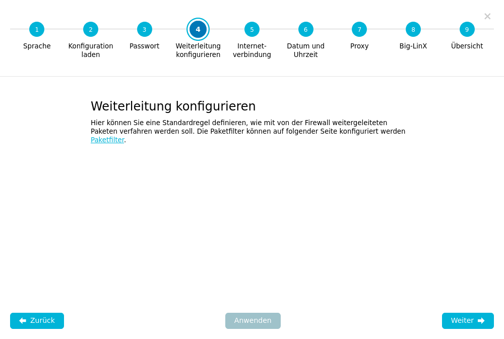 Konfigurations-Assistent — Schritt 4: Weiterleitung