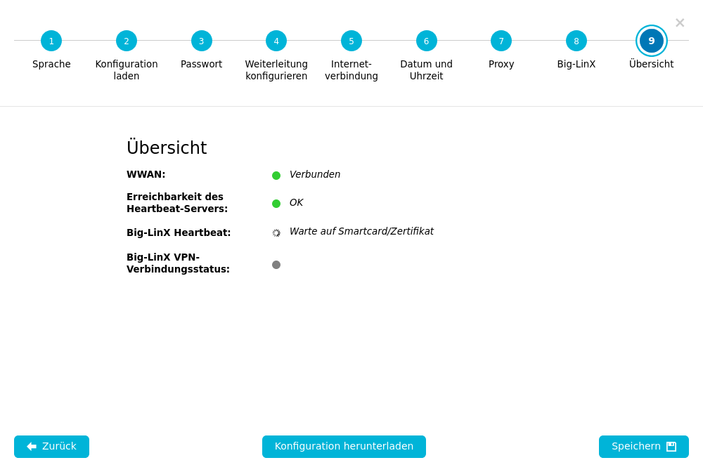 Konfigurations-Assistent — Schritt 9: Übersicht